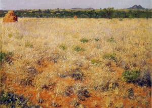 Northern Waso Nyiro 11